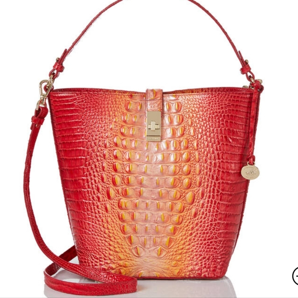 NWT🫦 Brahmin Shira infusion ombre bucket bag Natural leather
